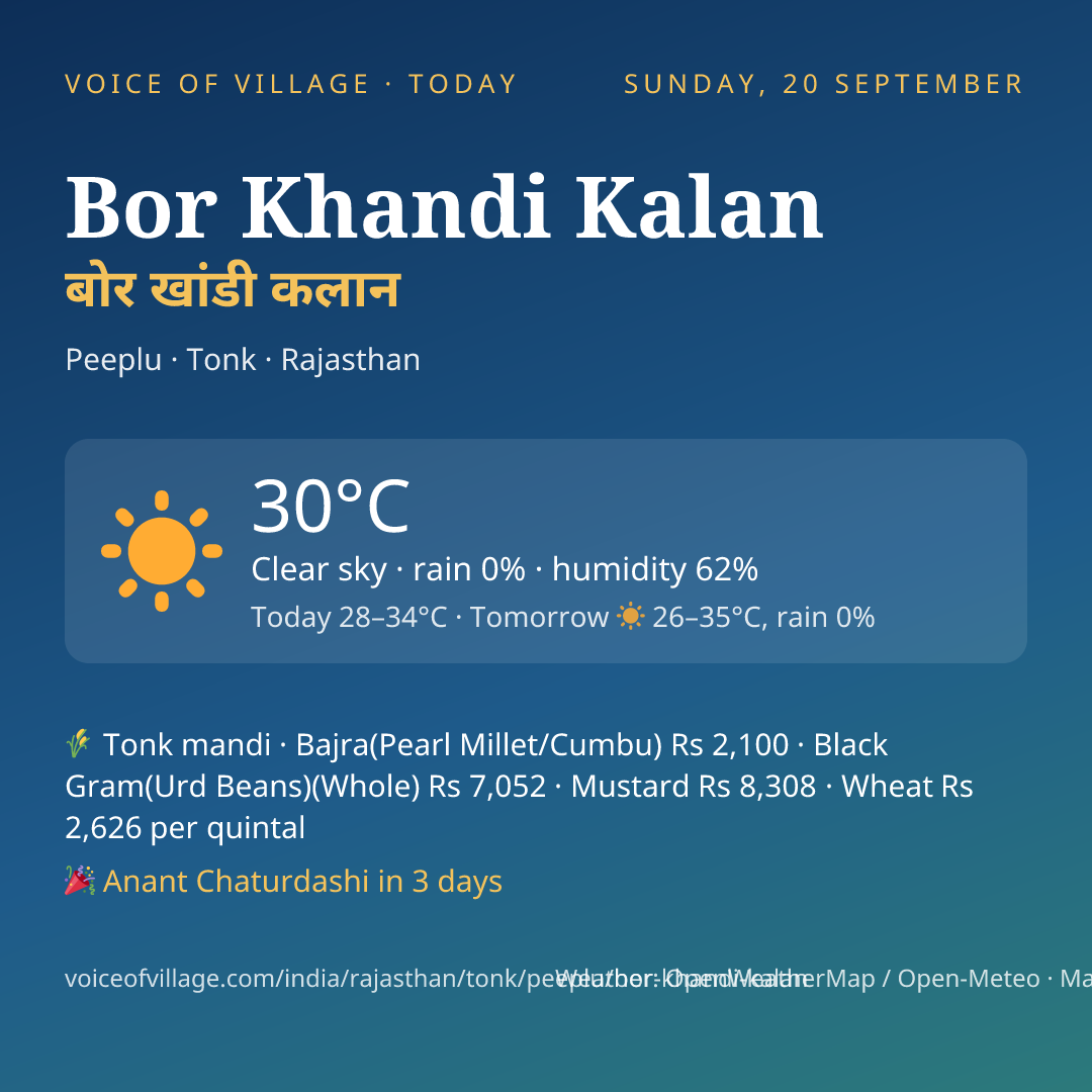 Bor Khandi Kalan today