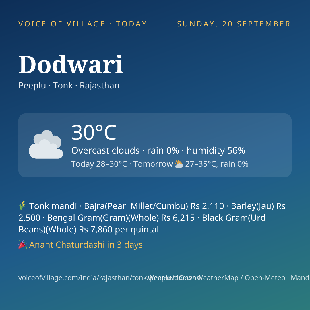 Dodwari today