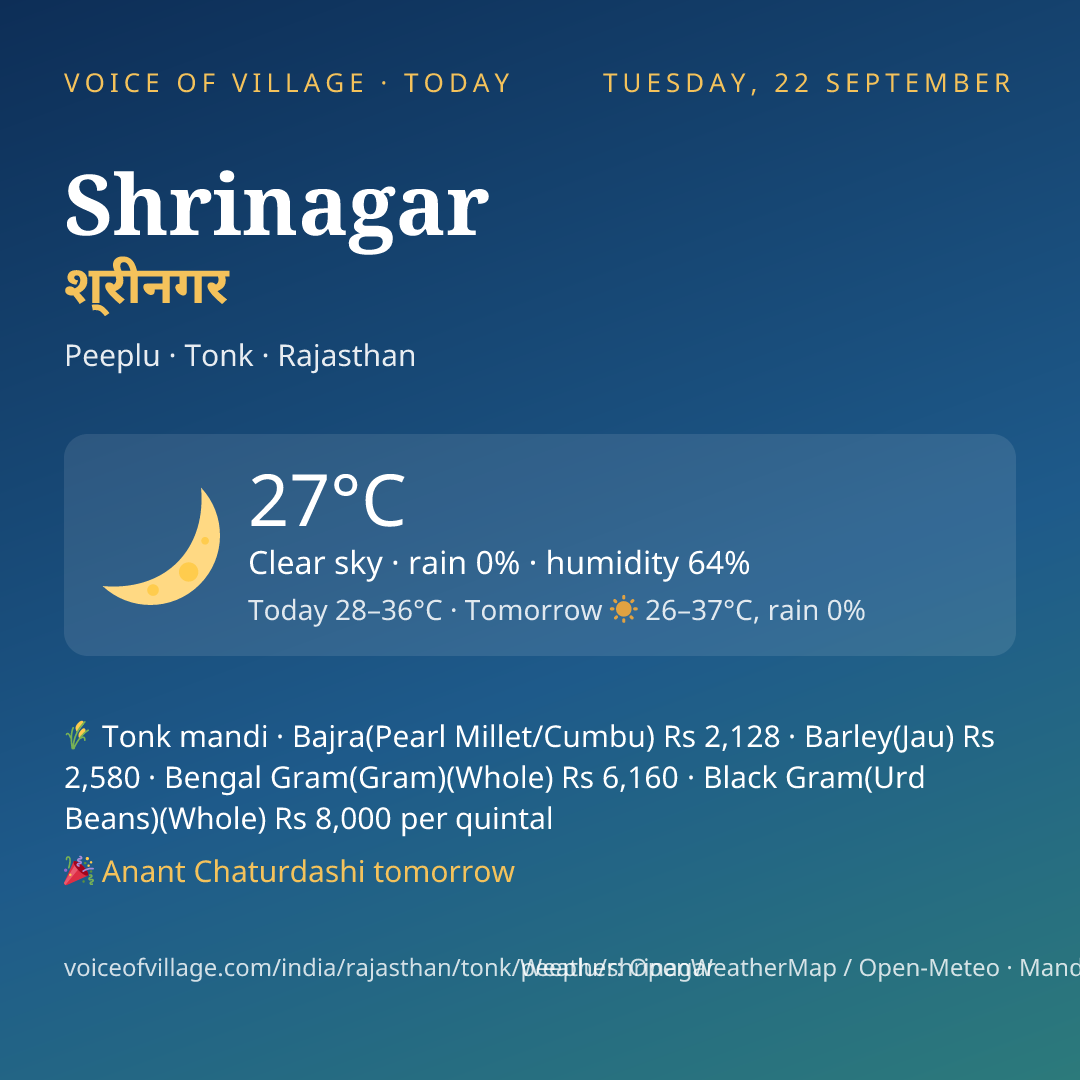 Shrinagar today