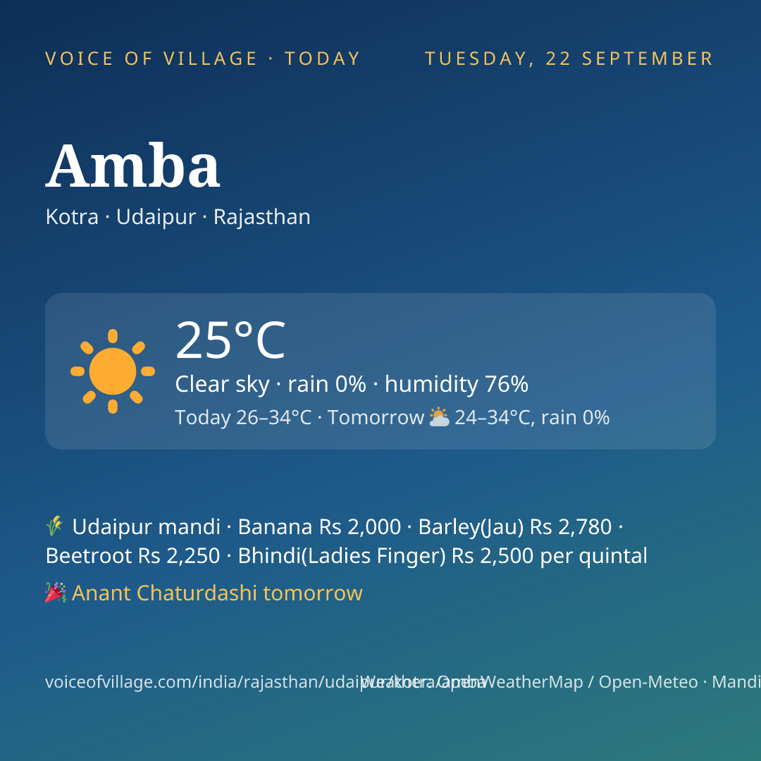 Amba today