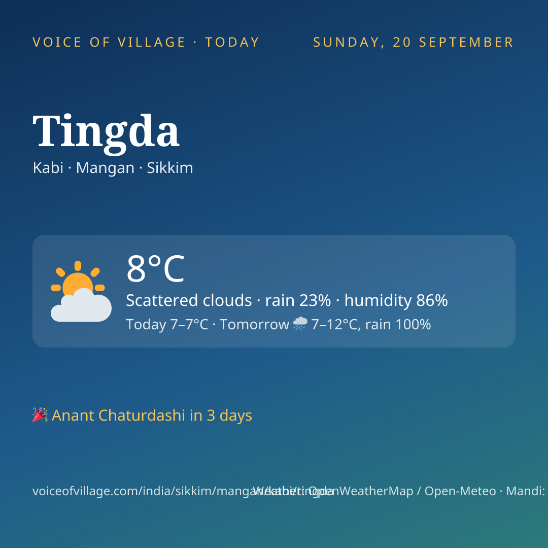 Tingda today
