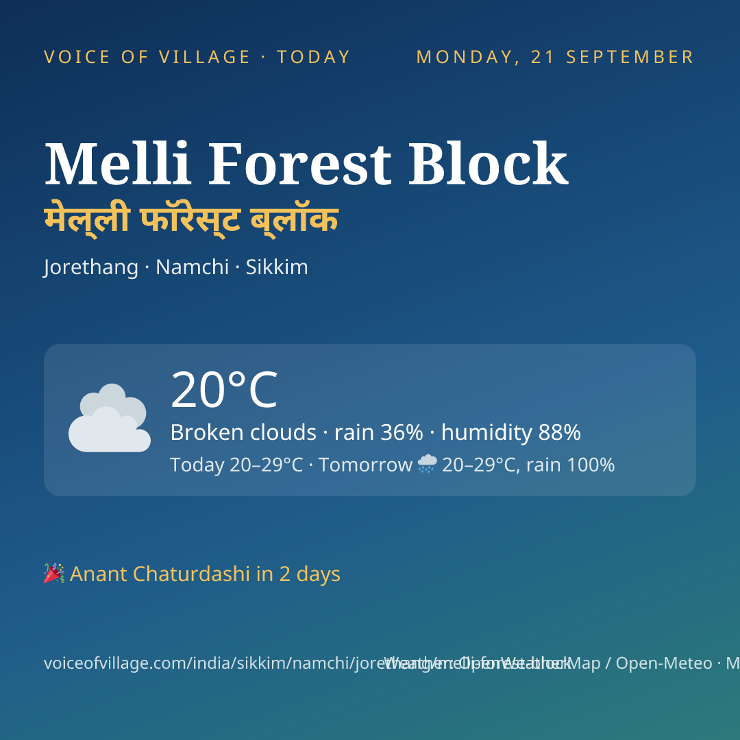 Melli Forest Block today