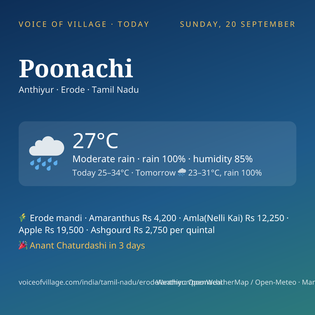 Poonachi today