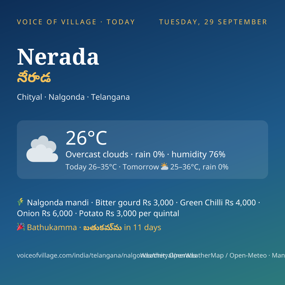 Nerada today