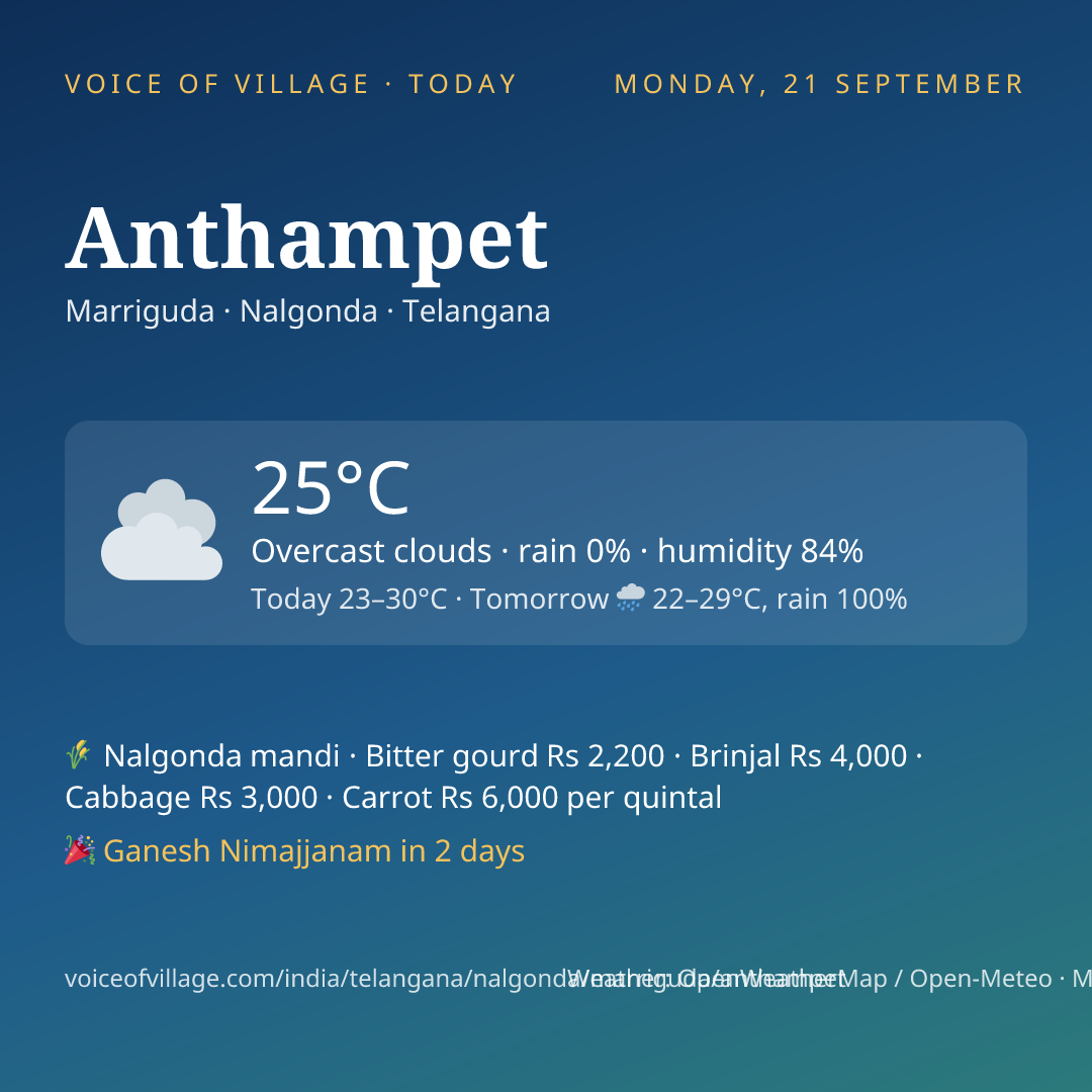 Anthampet today