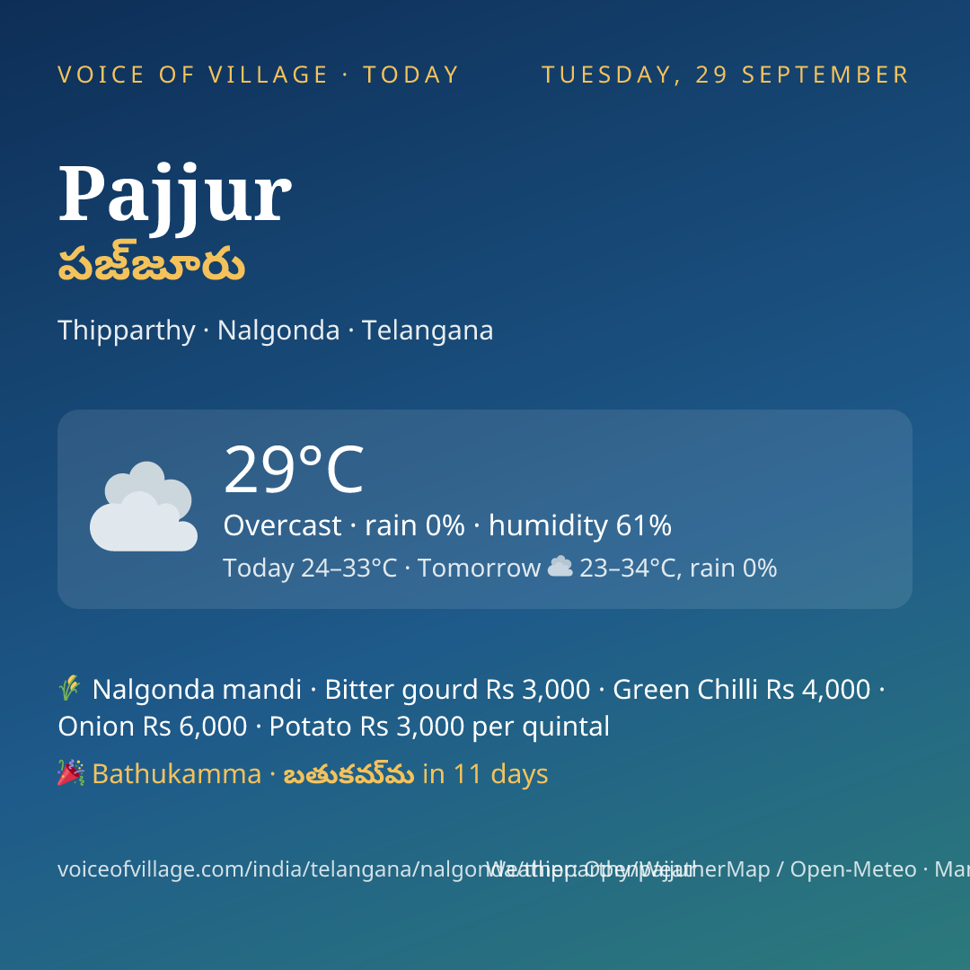 Pajjur today