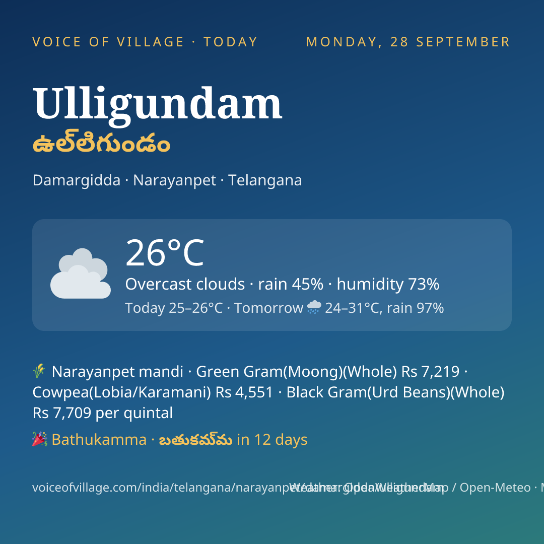 Ulligundam today