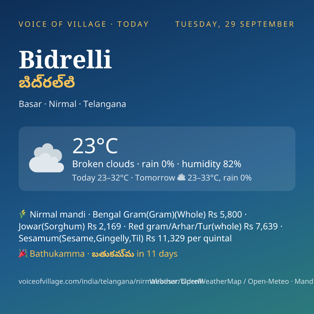 Bidrelli today