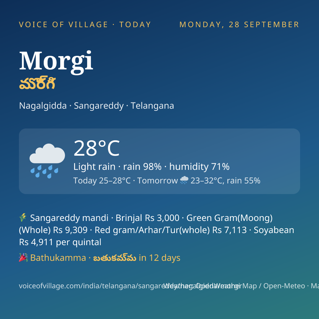 Morgi today