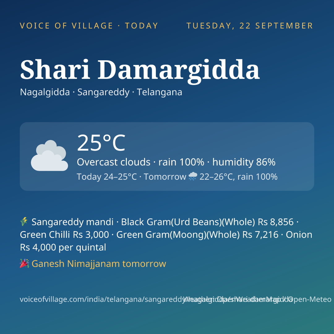 Shari Damargidda today