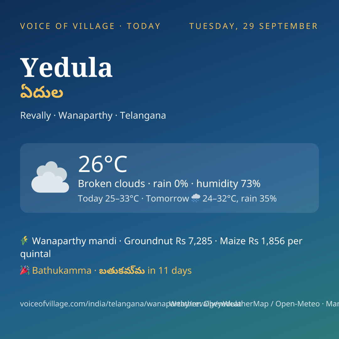 Yedula today