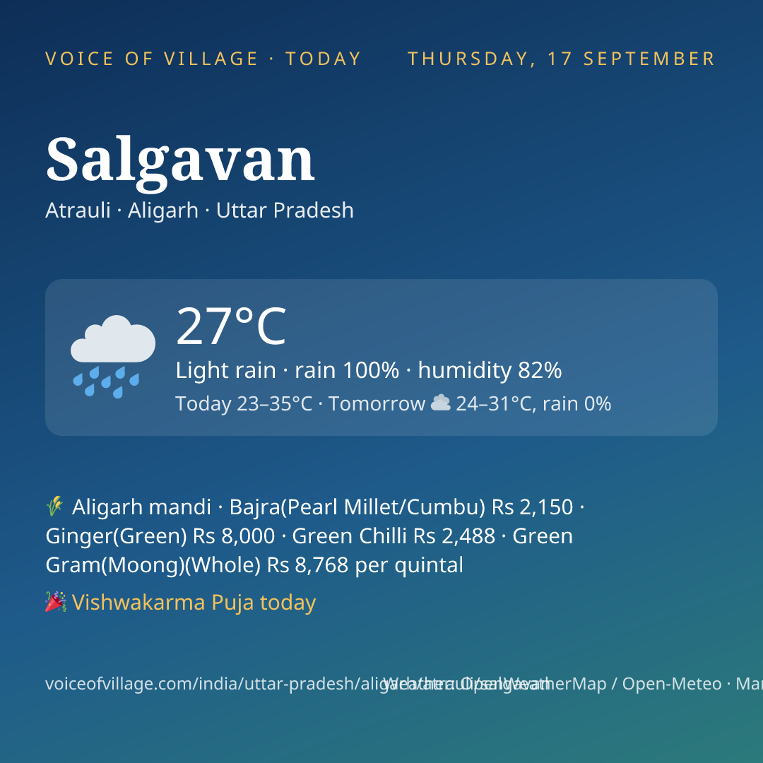 Salgavan today