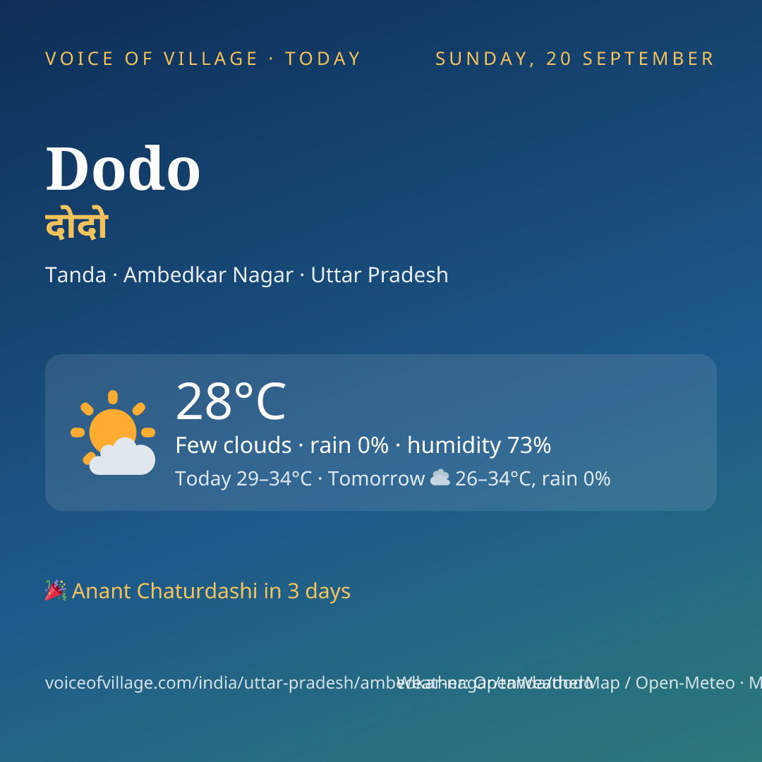Dodo today