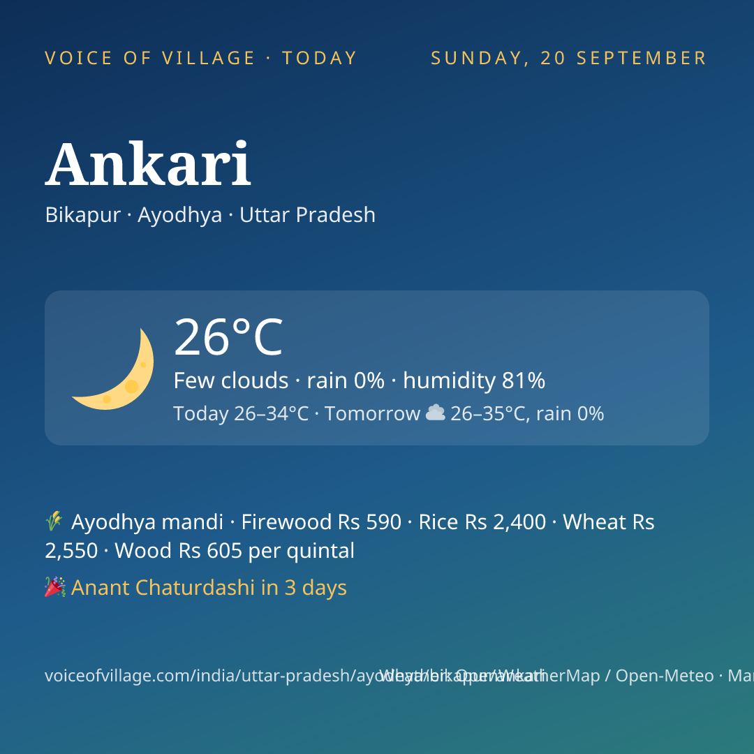 Ankari today