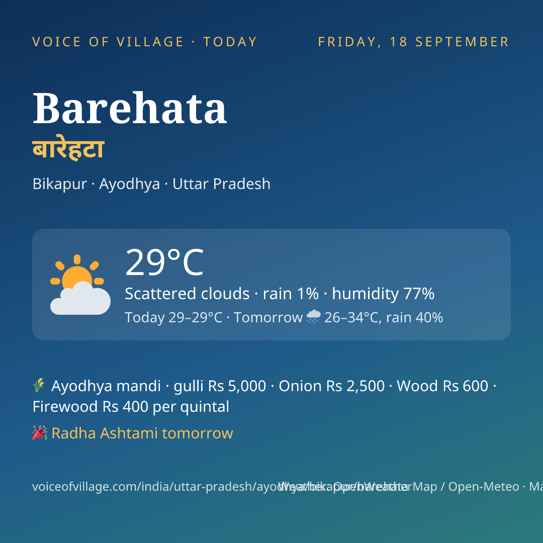Barehata today