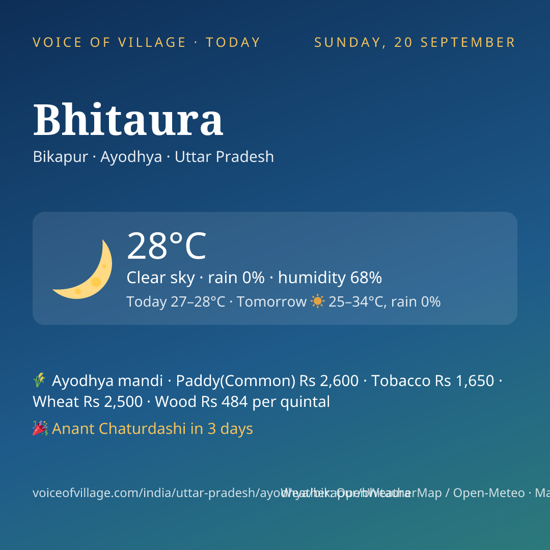 Bhitaura today