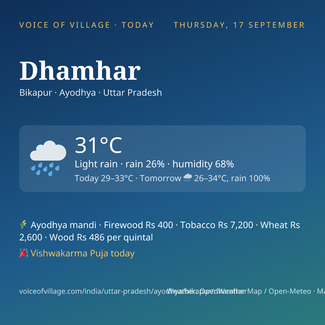 Dhamhar today