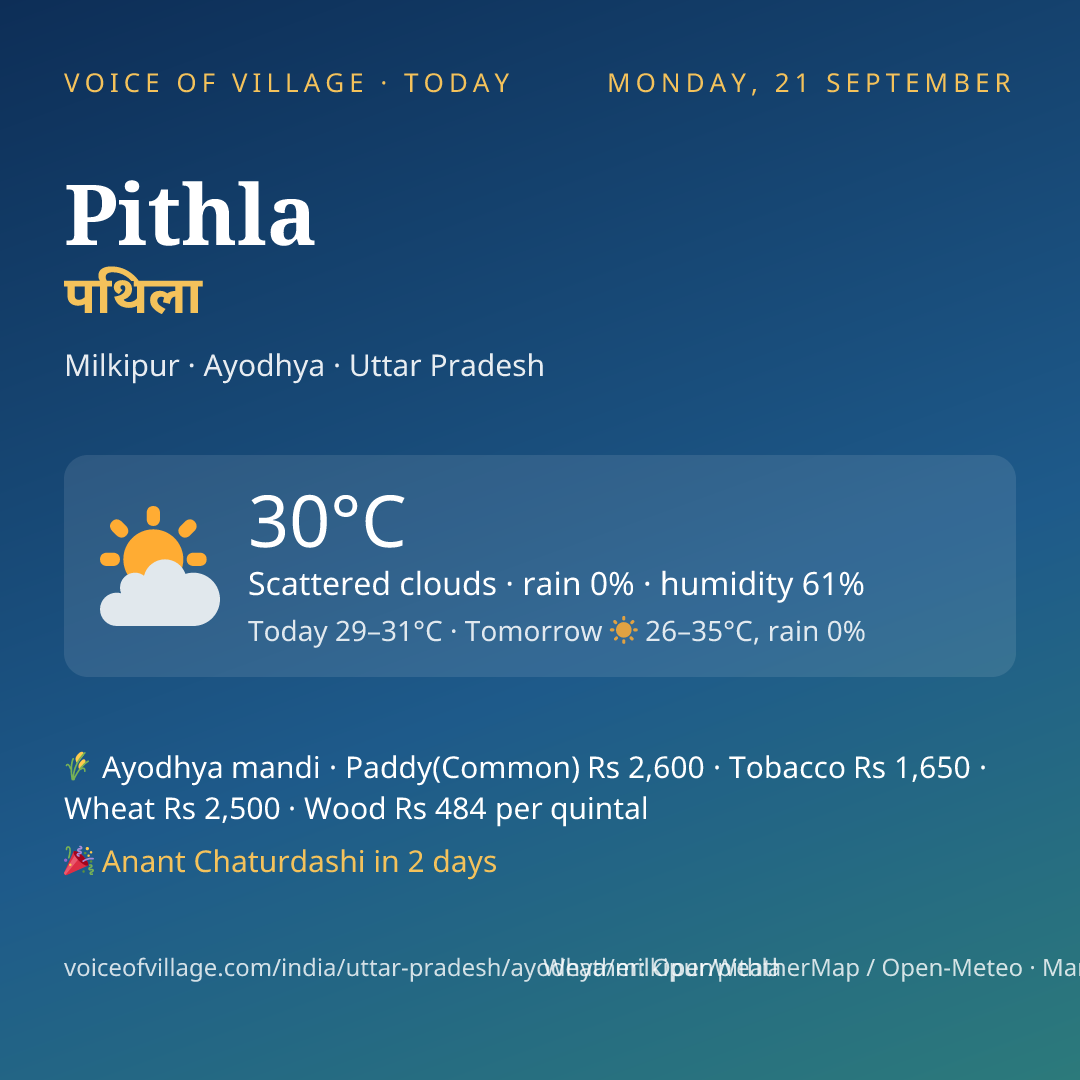 Pithla today