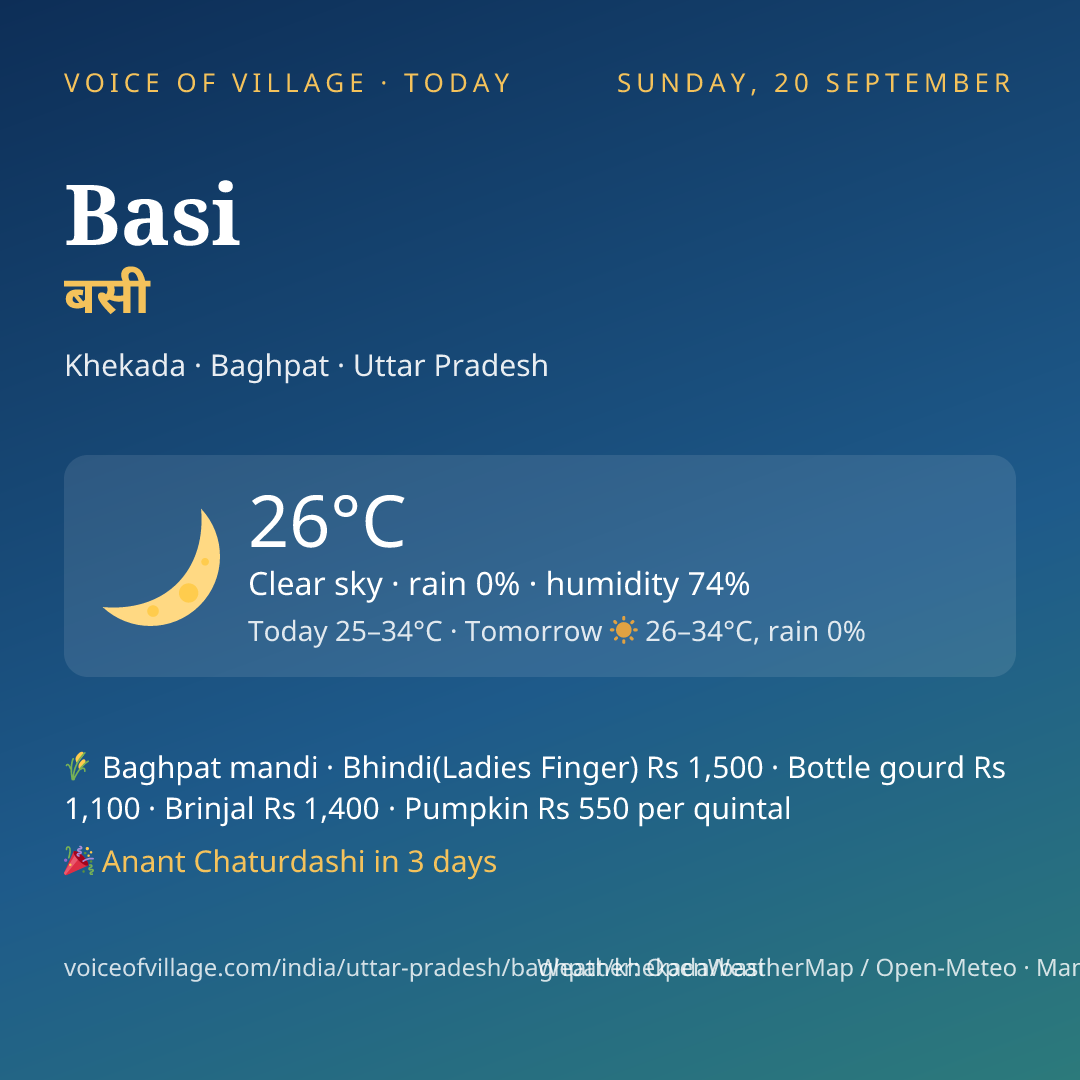 Basi today