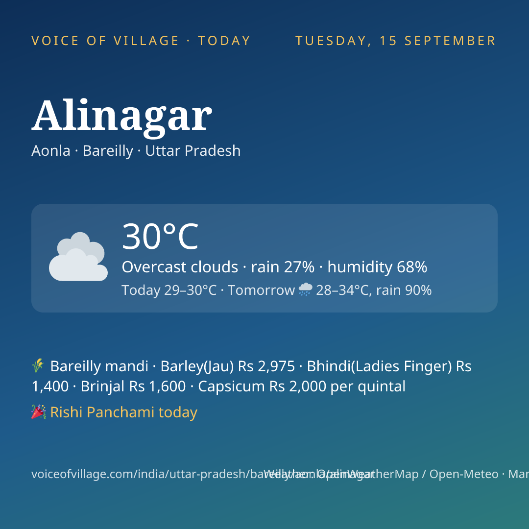 Alinagar today