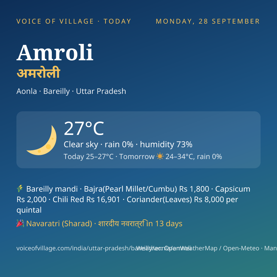 Amroli today