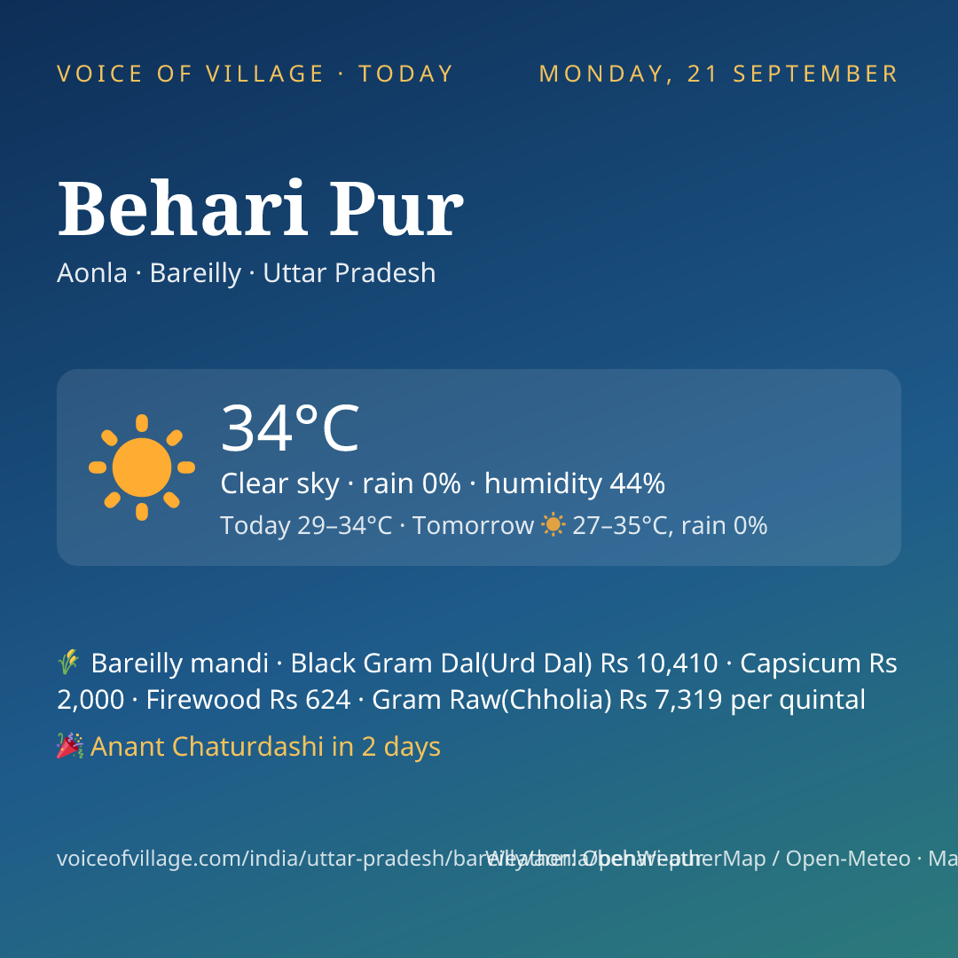 Behari Pur today