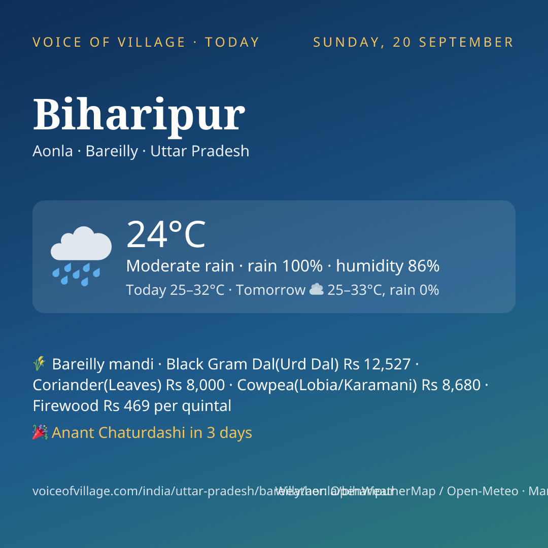 Biharipur today