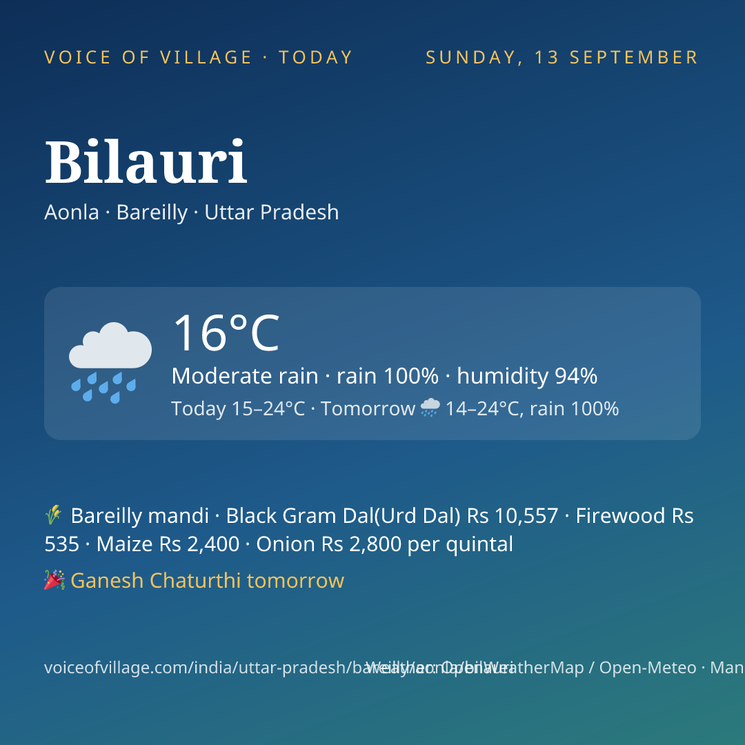 Bilauri today