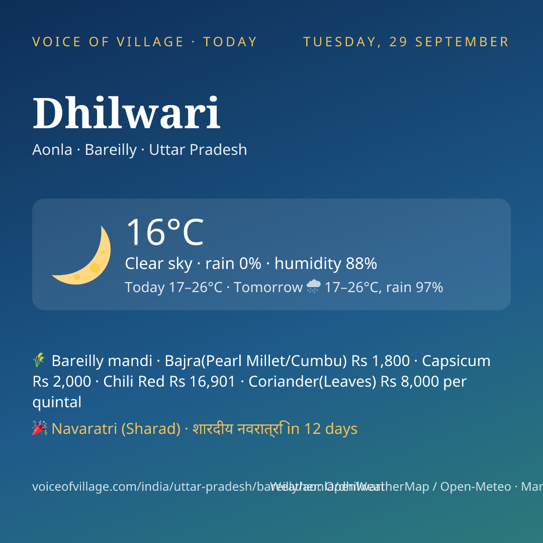 Dhilwari today