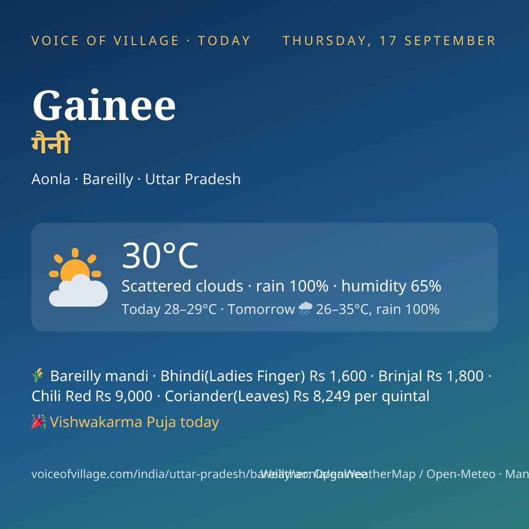 Gainee today