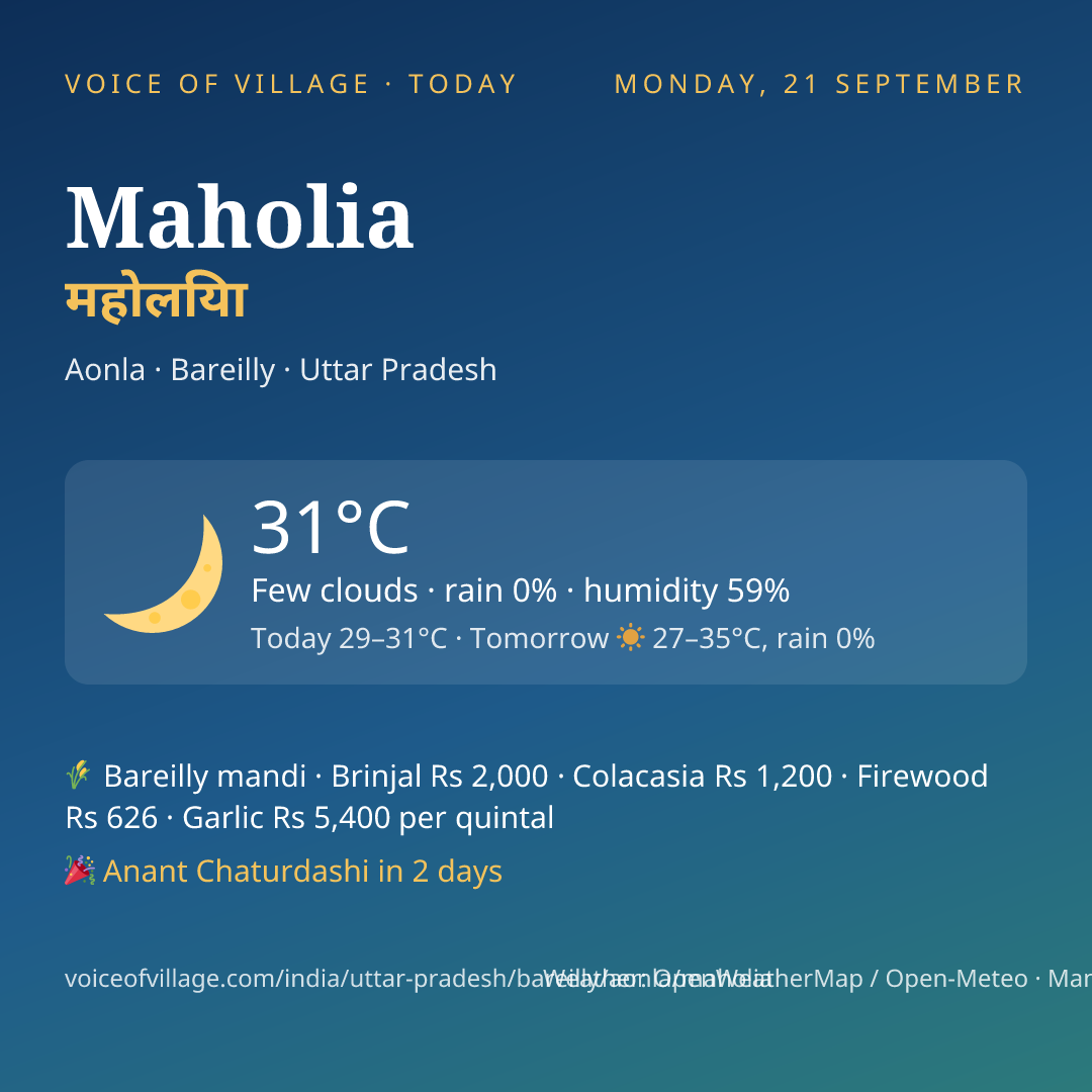 Maholia today