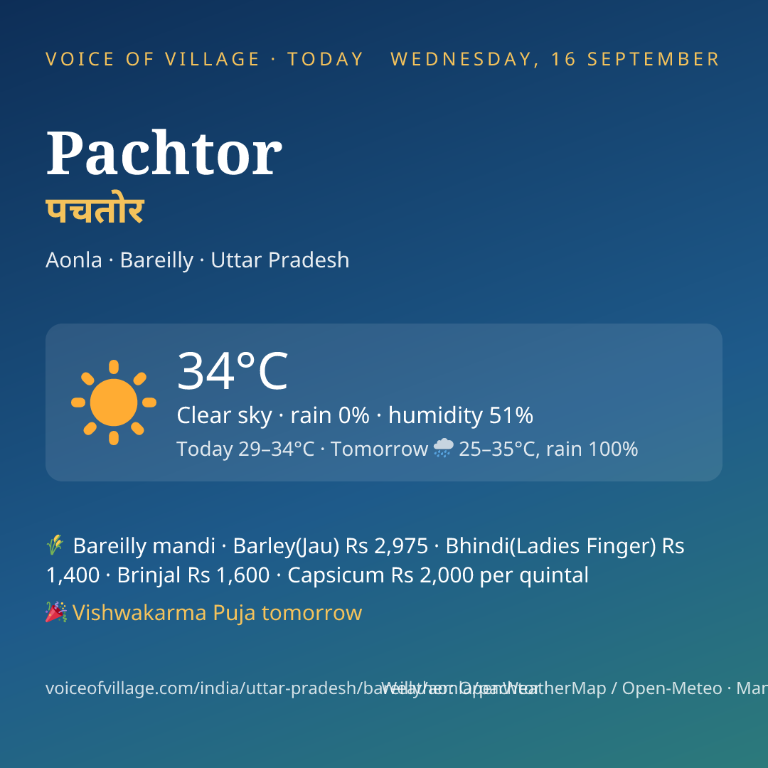 Pachtor today