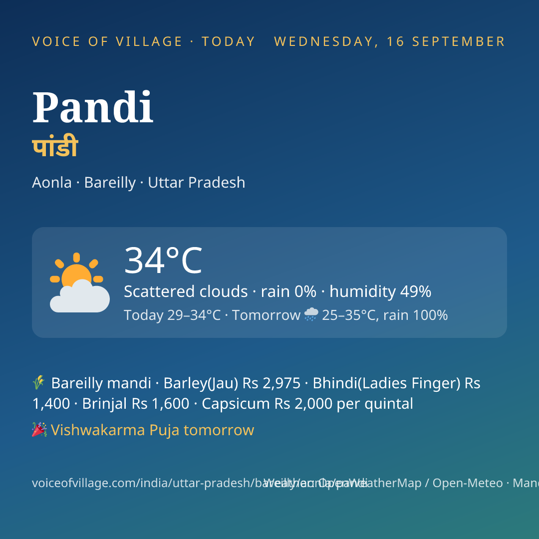 Pandi today