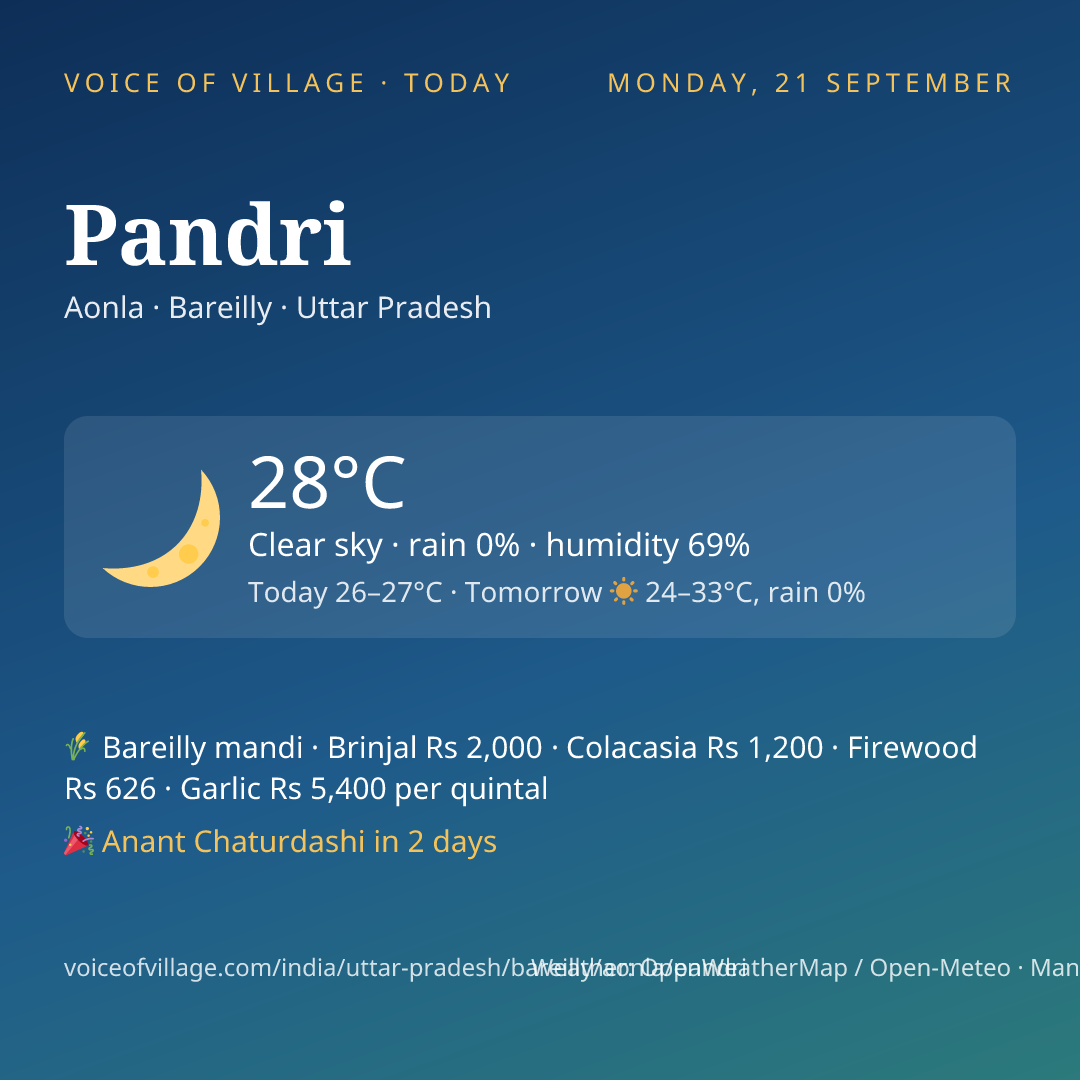 Pandri today