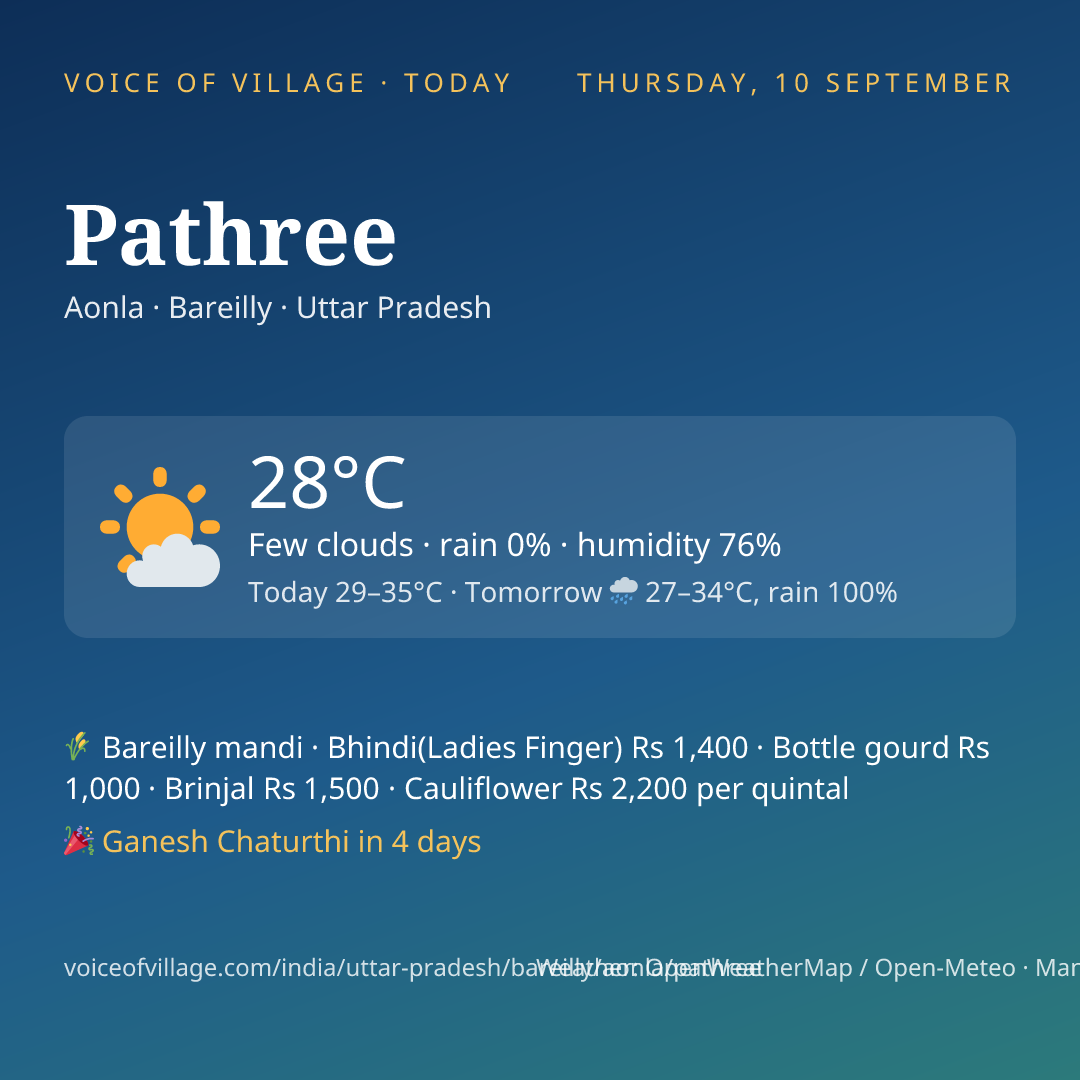 Pathree today