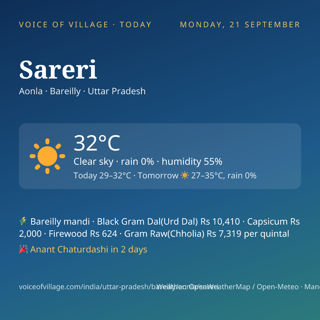 Sareri today