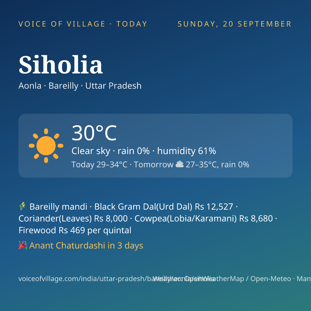 Siholia today
