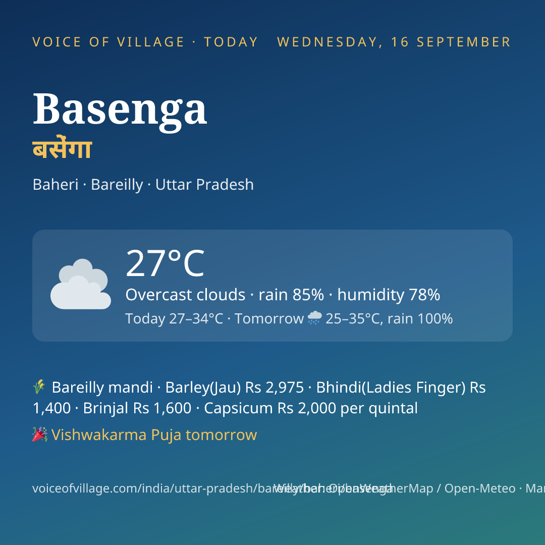 Basenga today