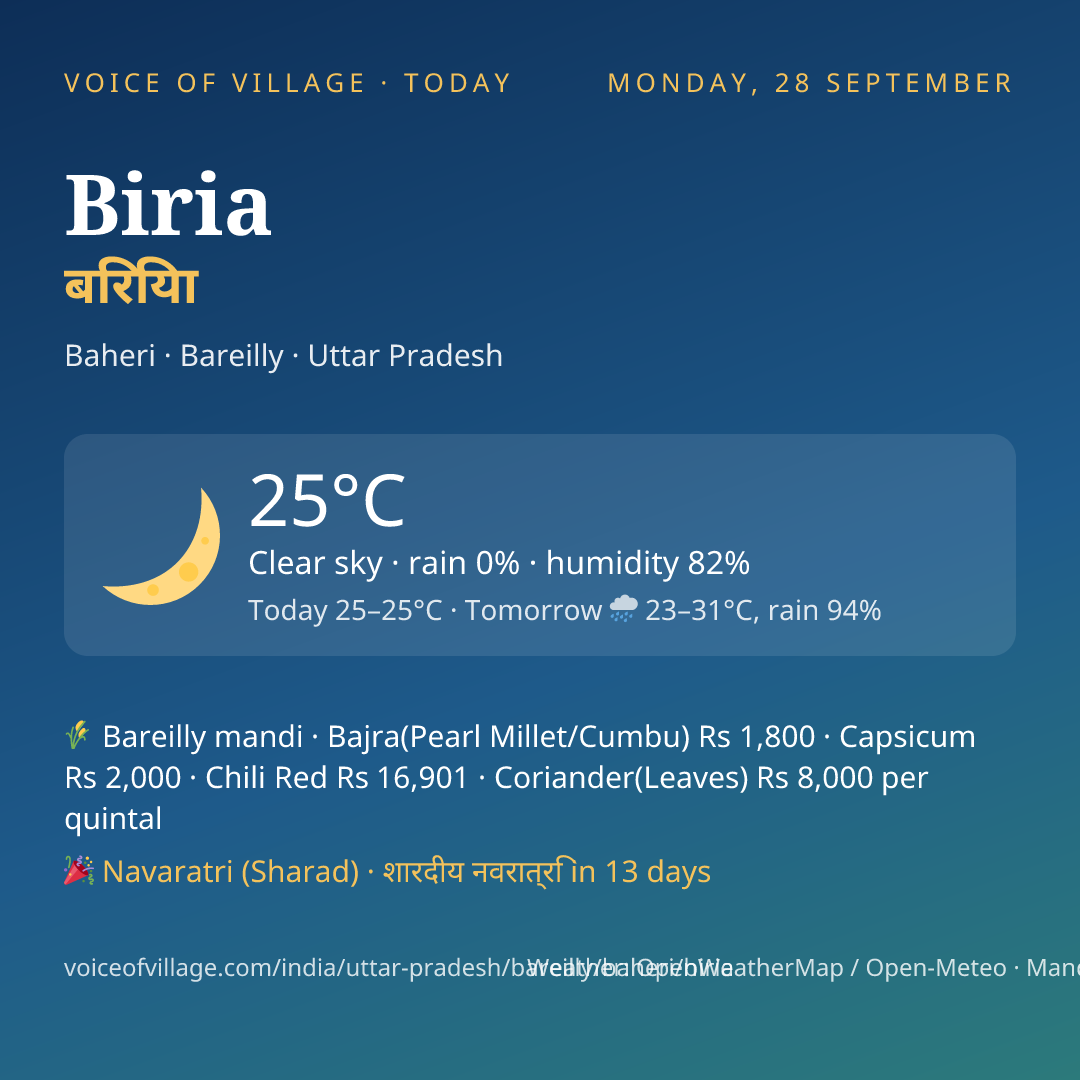 Biria today