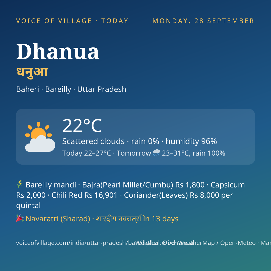 Dhanua today