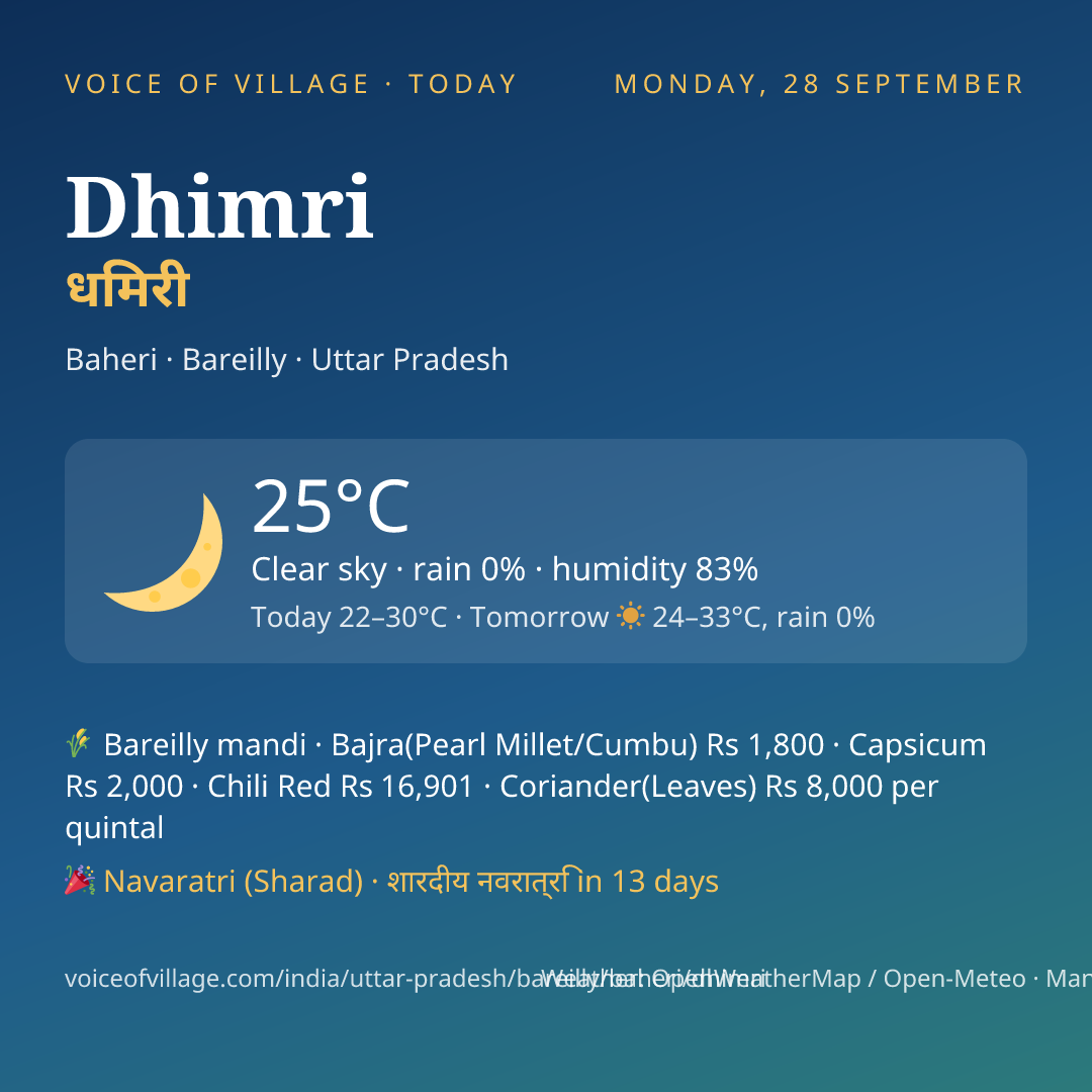 Dhimri today
