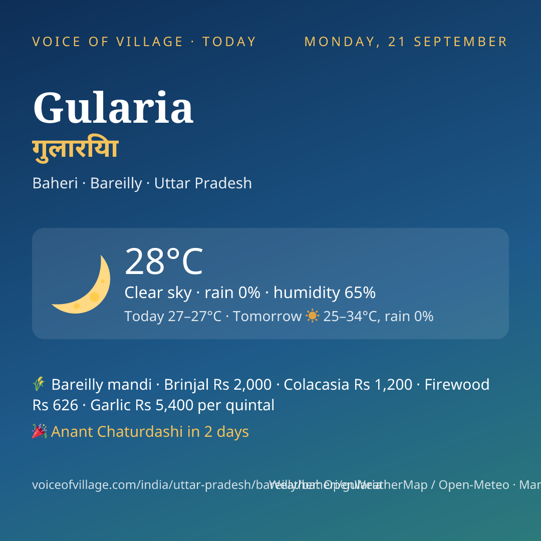 Gularia today