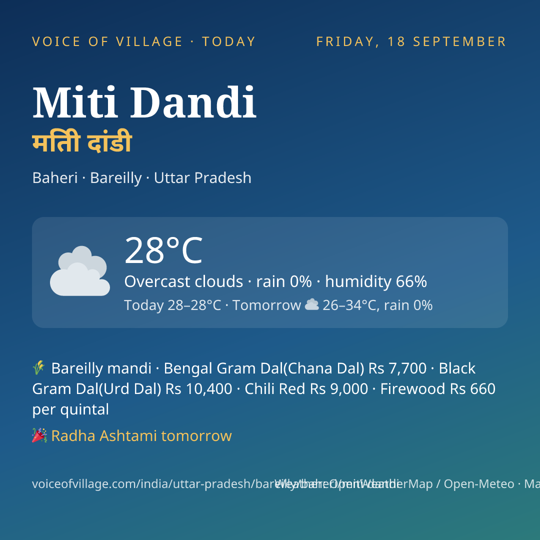 Miti Dandi today