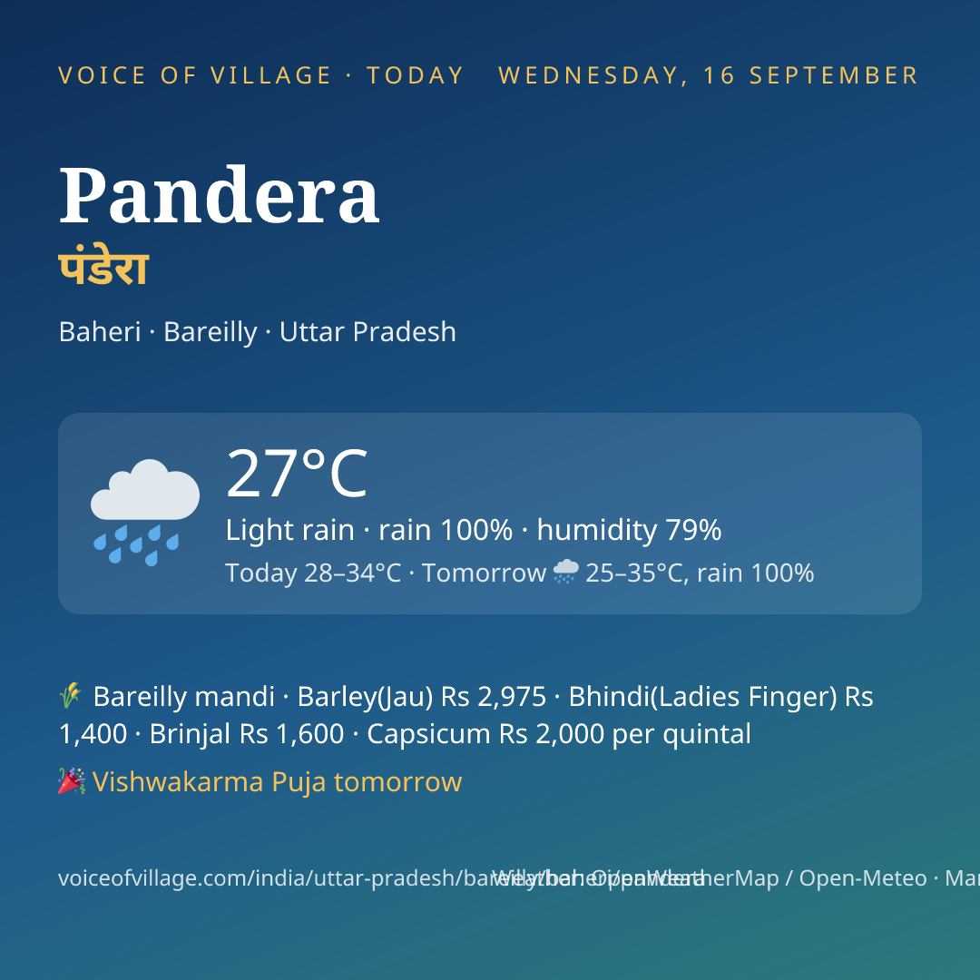 Pandera today