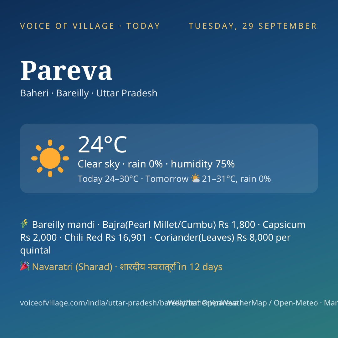 Pareva today