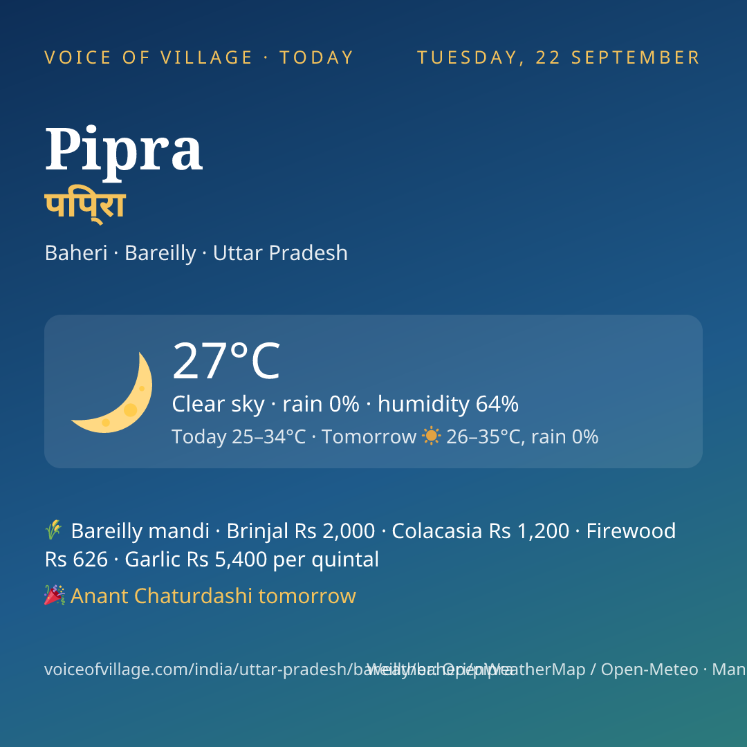 Pipra today
