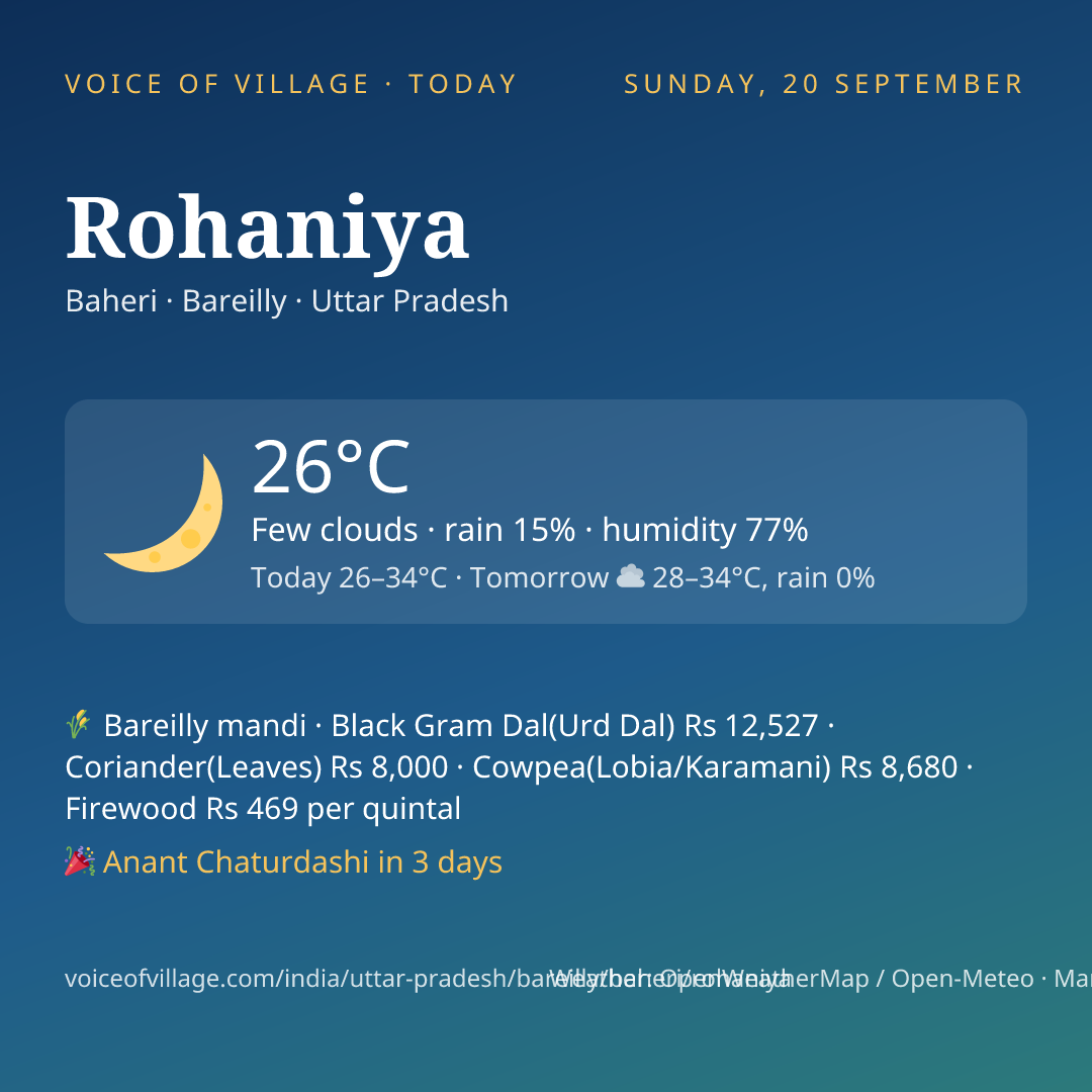 Rohaniya today