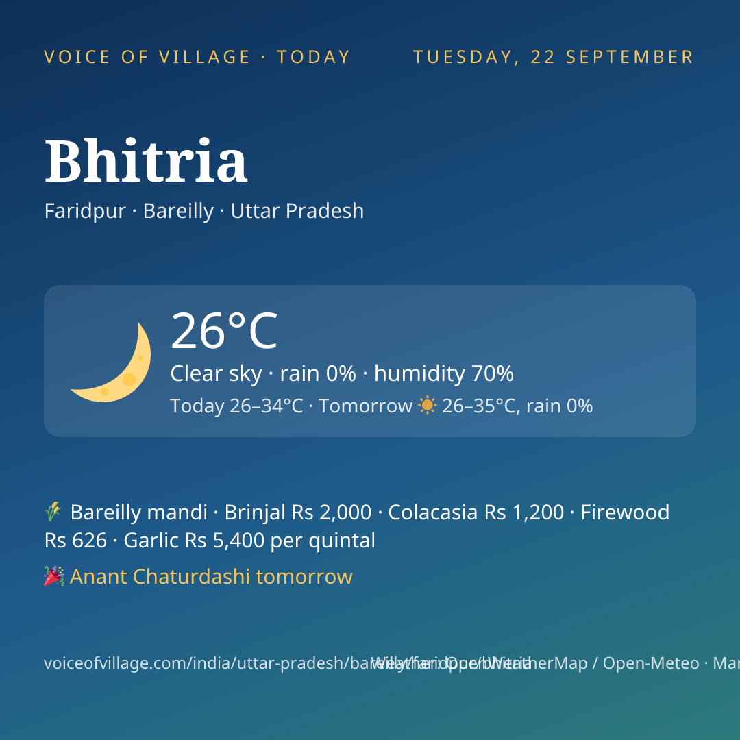 Bhitria today