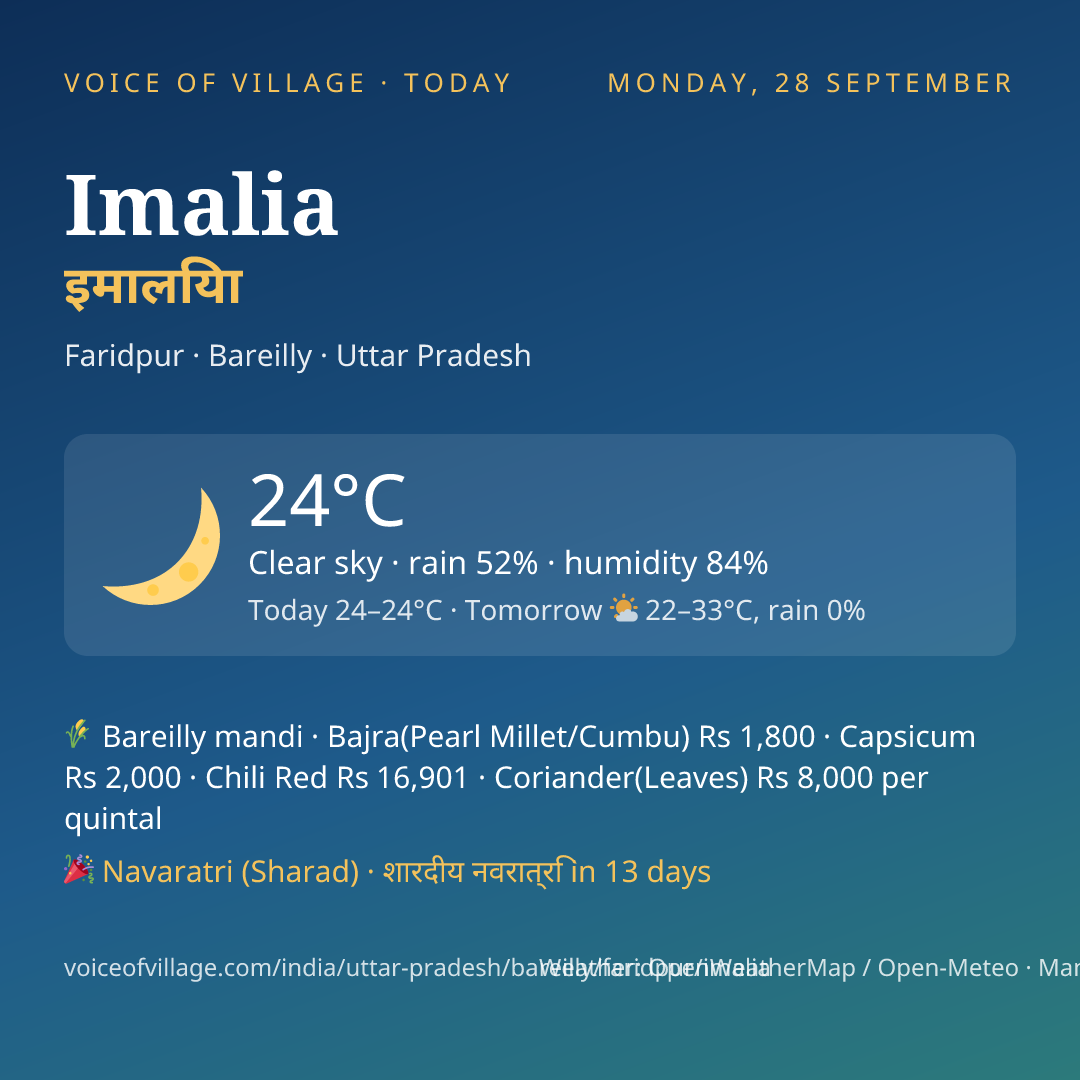 Imalia today