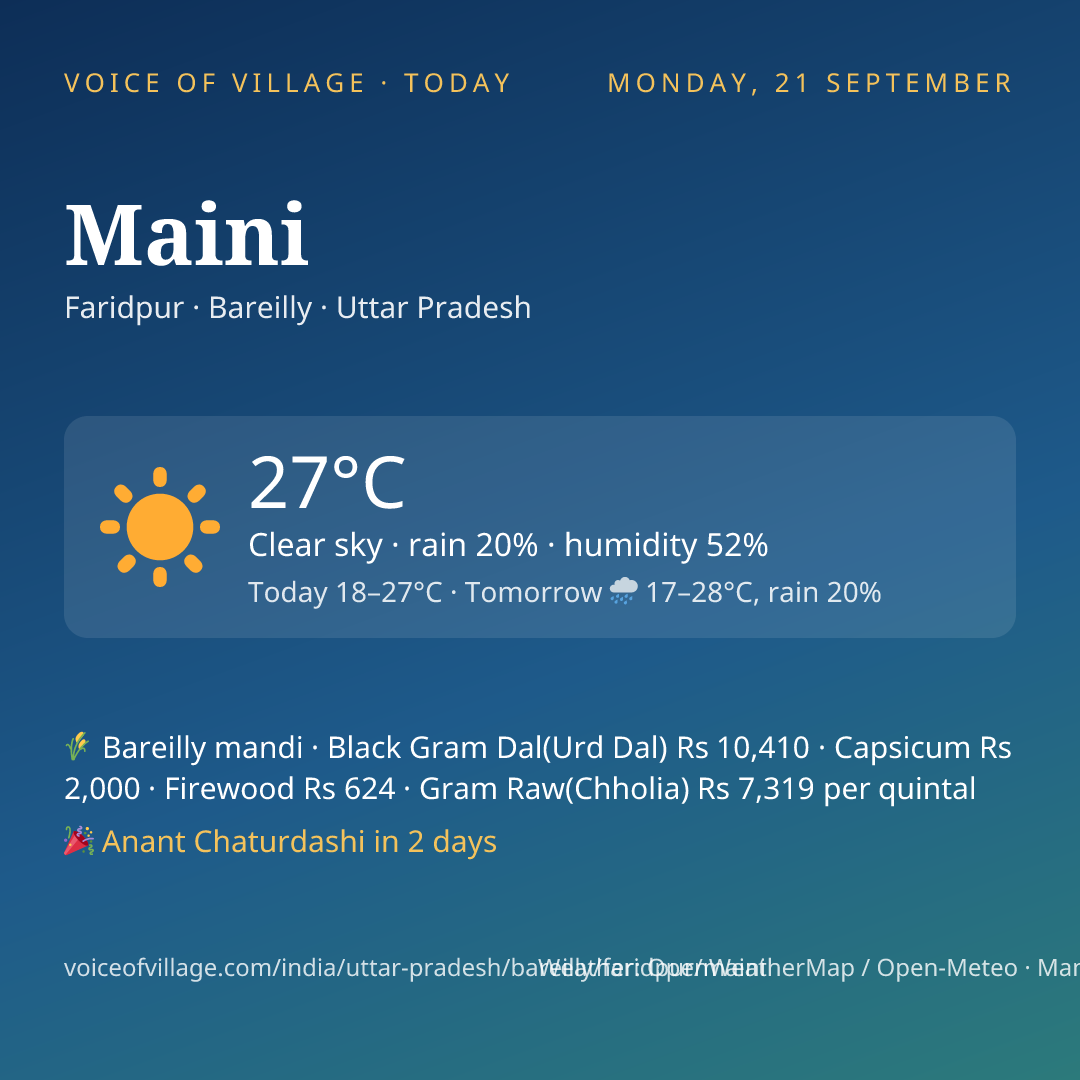 Maini today